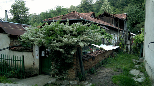  Photo. Southern Bulgaria, Beli Osam.